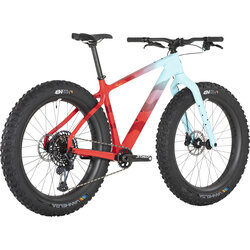 Salsa Beargrease Carbon X01