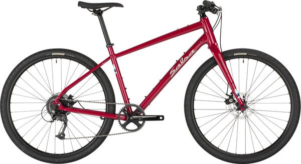 Salsa Journeyer Flat Bar Acolyte 650b