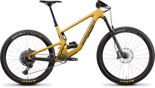 Santa Cruz Bronson